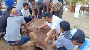 Brigjen TNI (purn) Taufik Hidayat melaksanakan pemotongan hewan Qurban di halaman blakang rumah kediamannya di Bandung, Jum'at, 31- Juli 2020